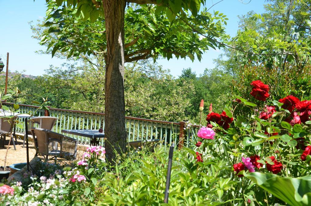 Bed and Breakfast La Gueriniere Cénac-et-Saint-Julien Zewnętrze zdjęcie